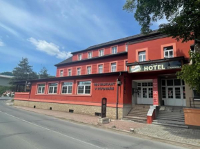 Отель Hotel V Pivovaře  Давле